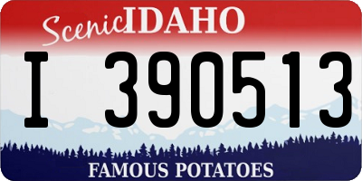ID license plate I390513