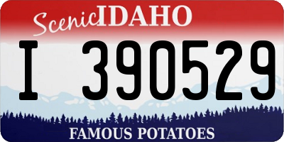 ID license plate I390529