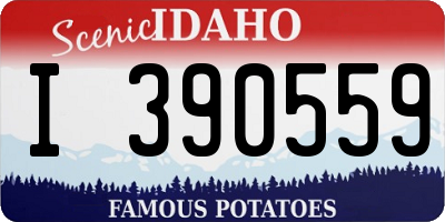 ID license plate I390559