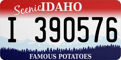 ID license plate I390576