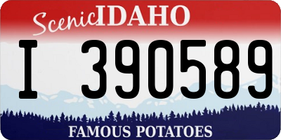 ID license plate I390589