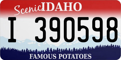 ID license plate I390598
