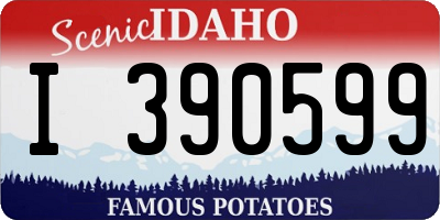 ID license plate I390599