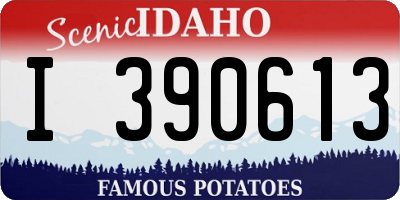 ID license plate I390613