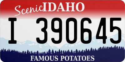 ID license plate I390645