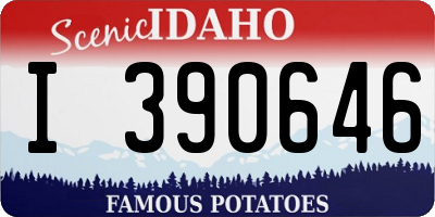 ID license plate I390646