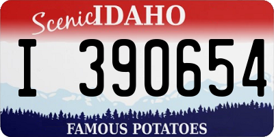 ID license plate I390654