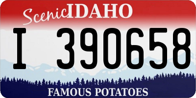 ID license plate I390658