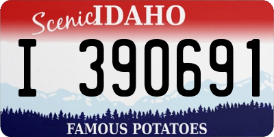 ID license plate I390691