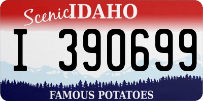 ID license plate I390699