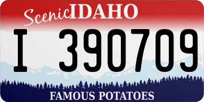 ID license plate I390709