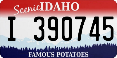 ID license plate I390745