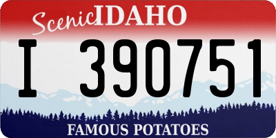 ID license plate I390751