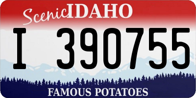 ID license plate I390755