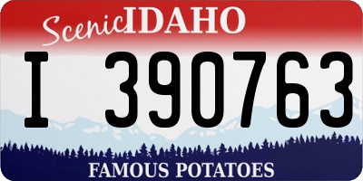 ID license plate I390763