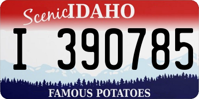 ID license plate I390785