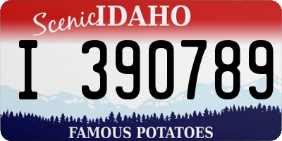 ID license plate I390789