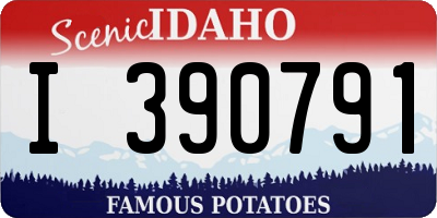 ID license plate I390791