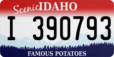 ID license plate I390793