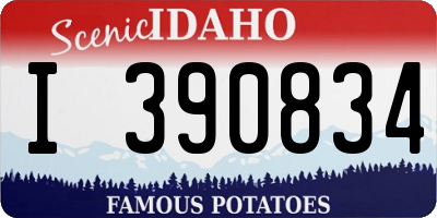 ID license plate I390834