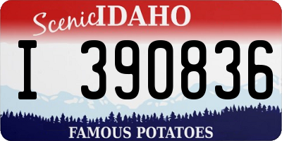ID license plate I390836