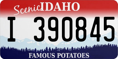 ID license plate I390845