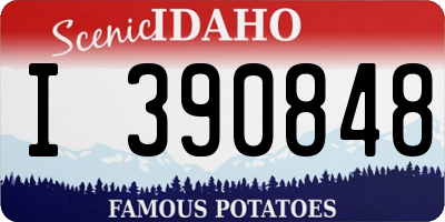 ID license plate I390848