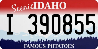ID license plate I390855