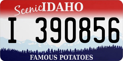 ID license plate I390856