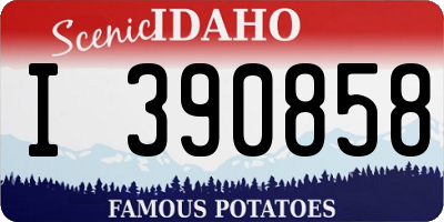 ID license plate I390858