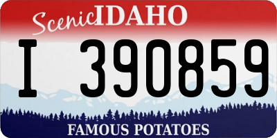 ID license plate I390859
