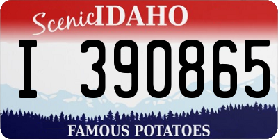 ID license plate I390865