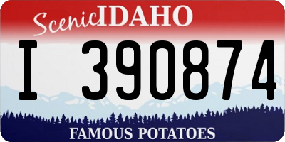 ID license plate I390874