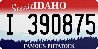 ID license plate I390875