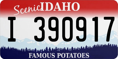 ID license plate I390917
