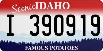 ID license plate I390919