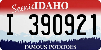 ID license plate I390921