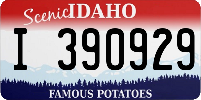 ID license plate I390929