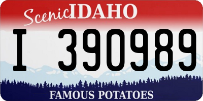 ID license plate I390989