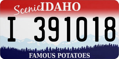 ID license plate I391018