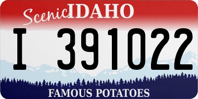 ID license plate I391022