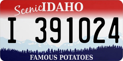 ID license plate I391024