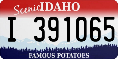 ID license plate I391065