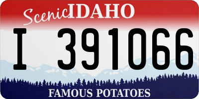 ID license plate I391066