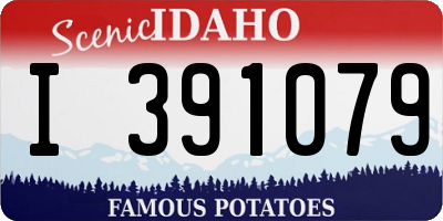 ID license plate I391079