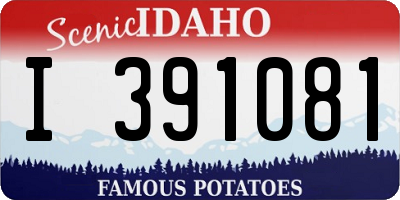ID license plate I391081