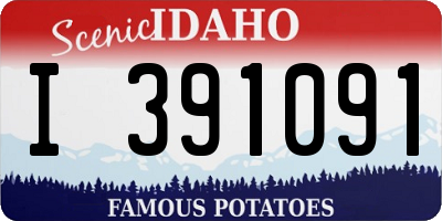 ID license plate I391091
