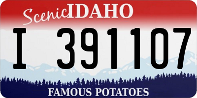 ID license plate I391107