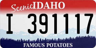 ID license plate I391117