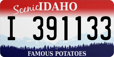 ID license plate I391133